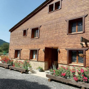 Gîte T3 terrasse Chalet